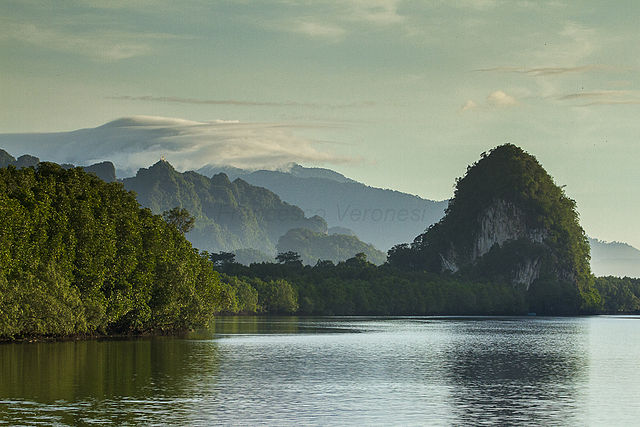 Khao Khanap Nam, with its geological marvel, cultural significance, and thriving ecosystems, stands as a symbol of Krabi's natural and historical riches.