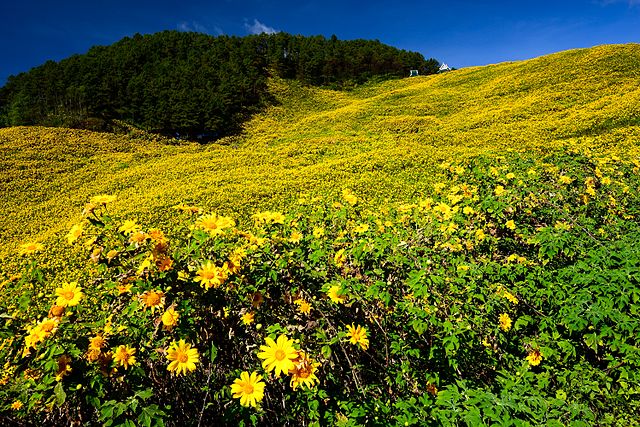 Doi Mae Ukho is a picturesque peak located in northern Thailand near the city of Mae Hong Son.