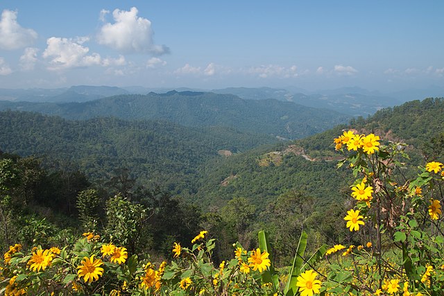 Huai Nam Dang National Park
Nestled in the mountainous region of Northern Thailand