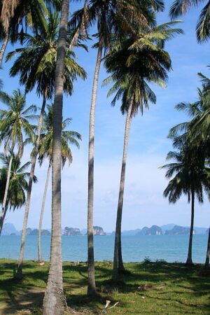"Koh Chang" is one of Thailand's largest and most fascinating islands.