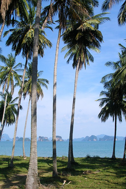 Ko Yao Noi is a gorgeous island located in Thailand. Located in Phang Nga Bay. 