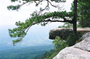 Phu Kradueng National Park is a natural wonder that offers tranquility in a stunning natural setting.