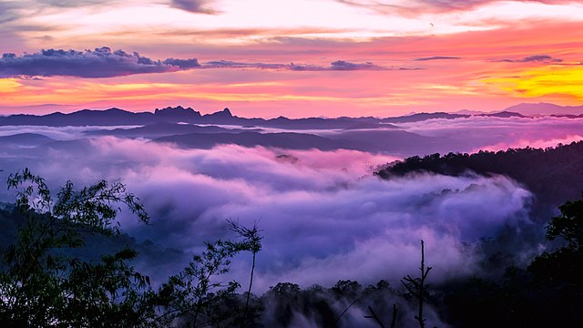 Taksin Maharat National Park, situated in Thailand, boasts diverse ecosystems, captivating landscapes, and rich biodiversity.