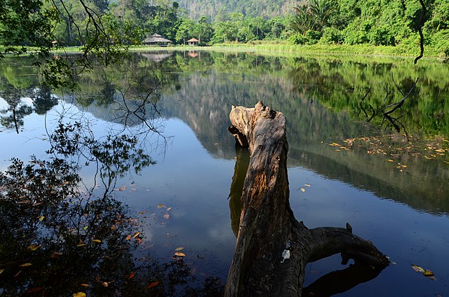 Exploring the Enchanting Beauty of Thale Ban National Park, Satun Province