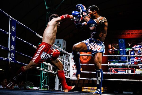 Muay Thai, martial arts, combat sports, Thailand, striking techniques, punches, kicks, elbows, knee strikes, conditioning, discipline, cultural heritage.